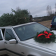 Illustration for article titled Oppo Question - Best looking cars with a tree on top?